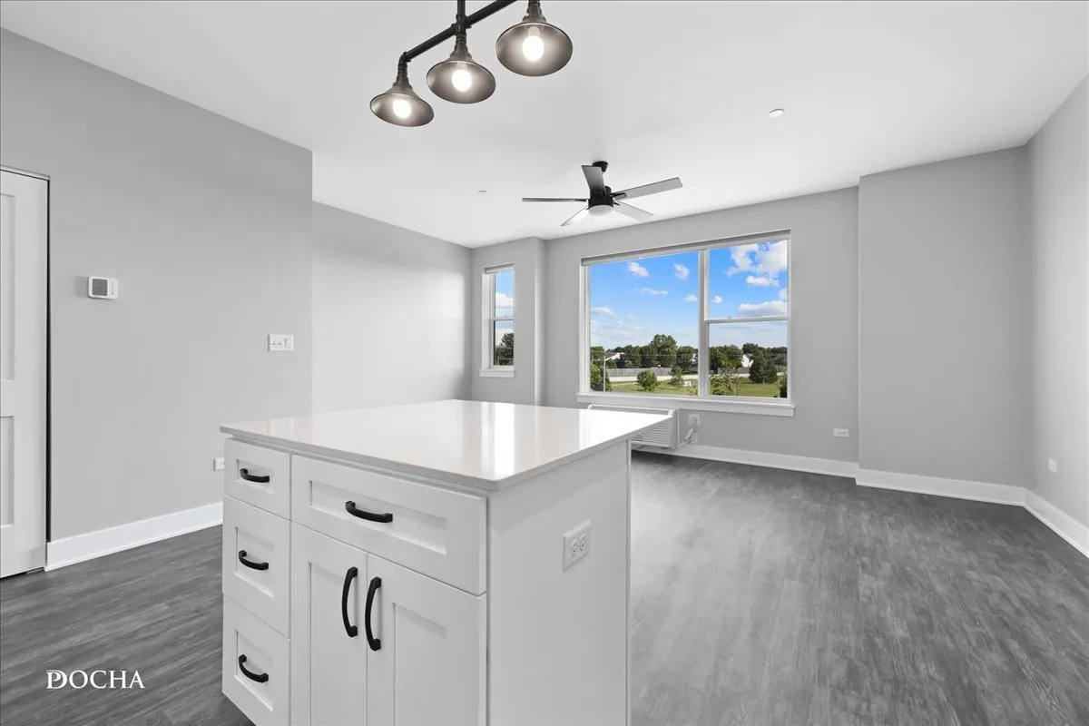 1001 Ritter Street IL #2204