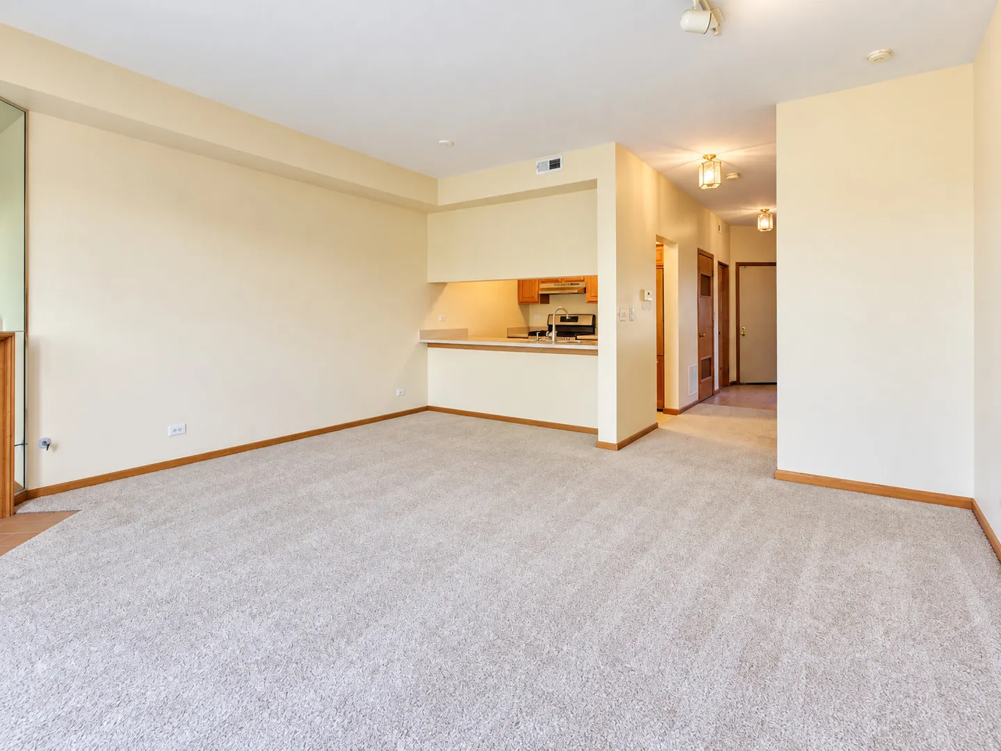 7834 Darien Lake Drive IL
