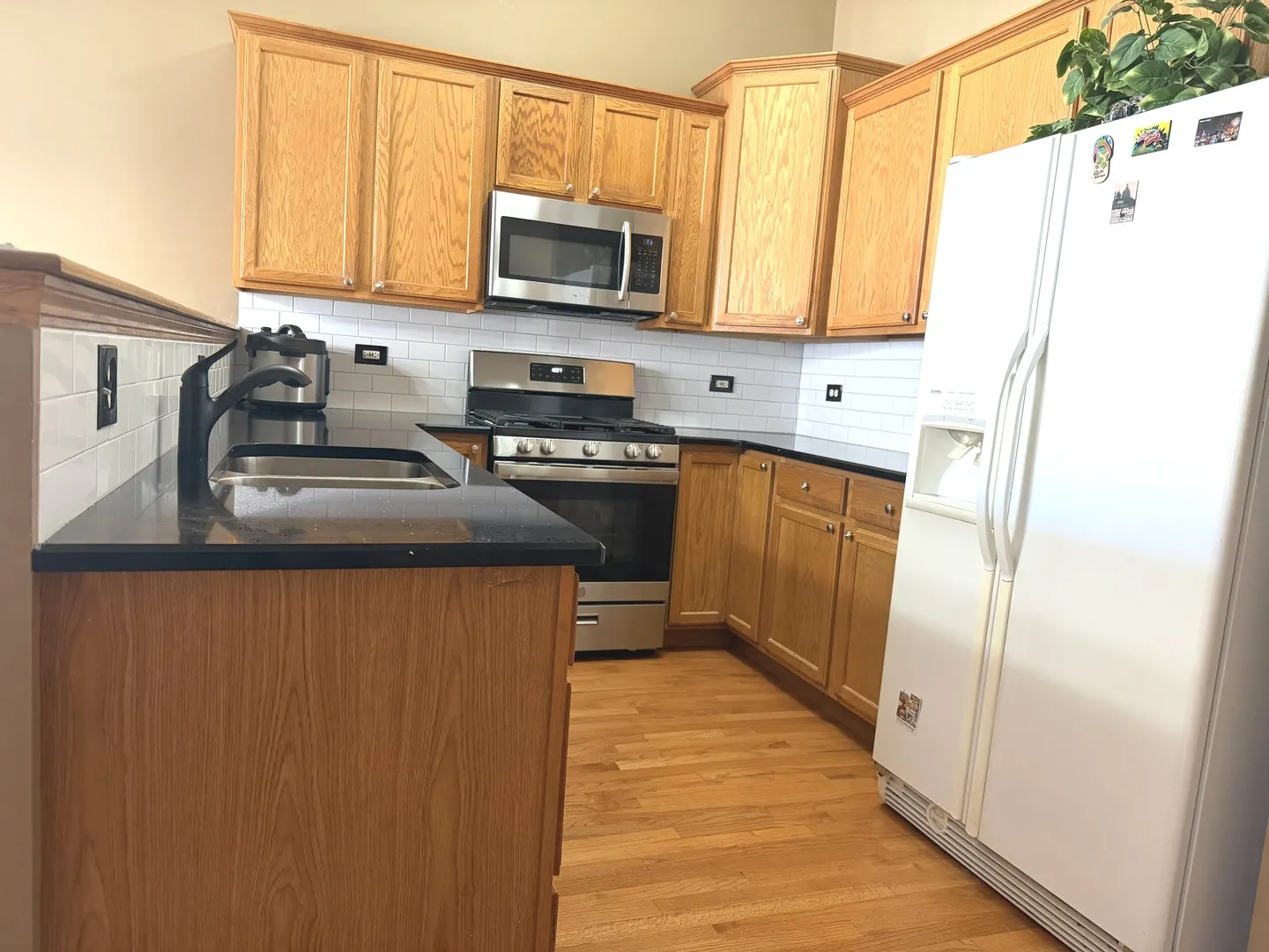 9411 Albany Court IL