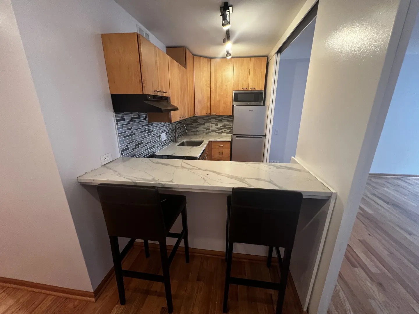 2400 N Lakeview Avenue IL #1007