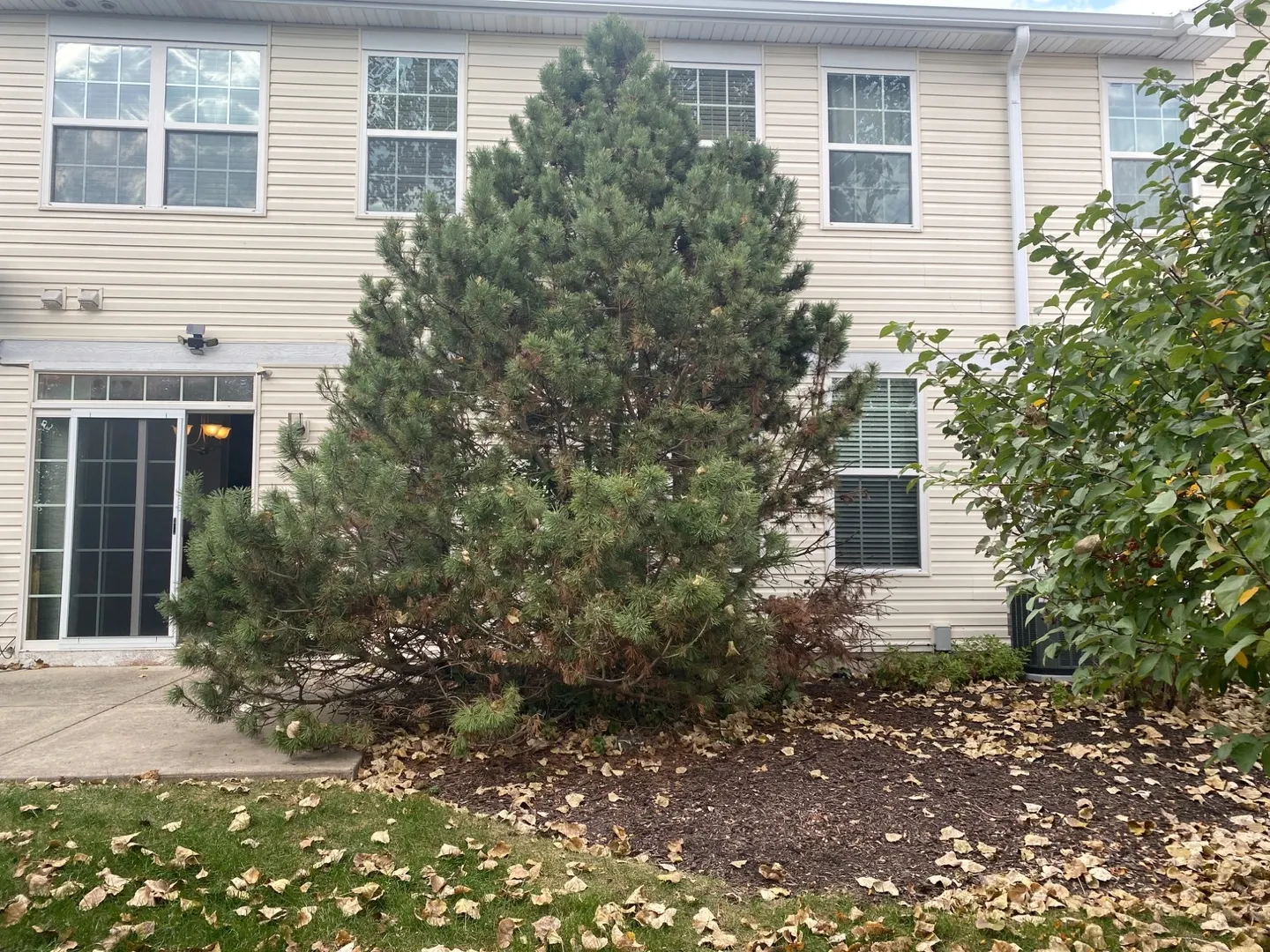 292 S Oak Creek Lane IL
