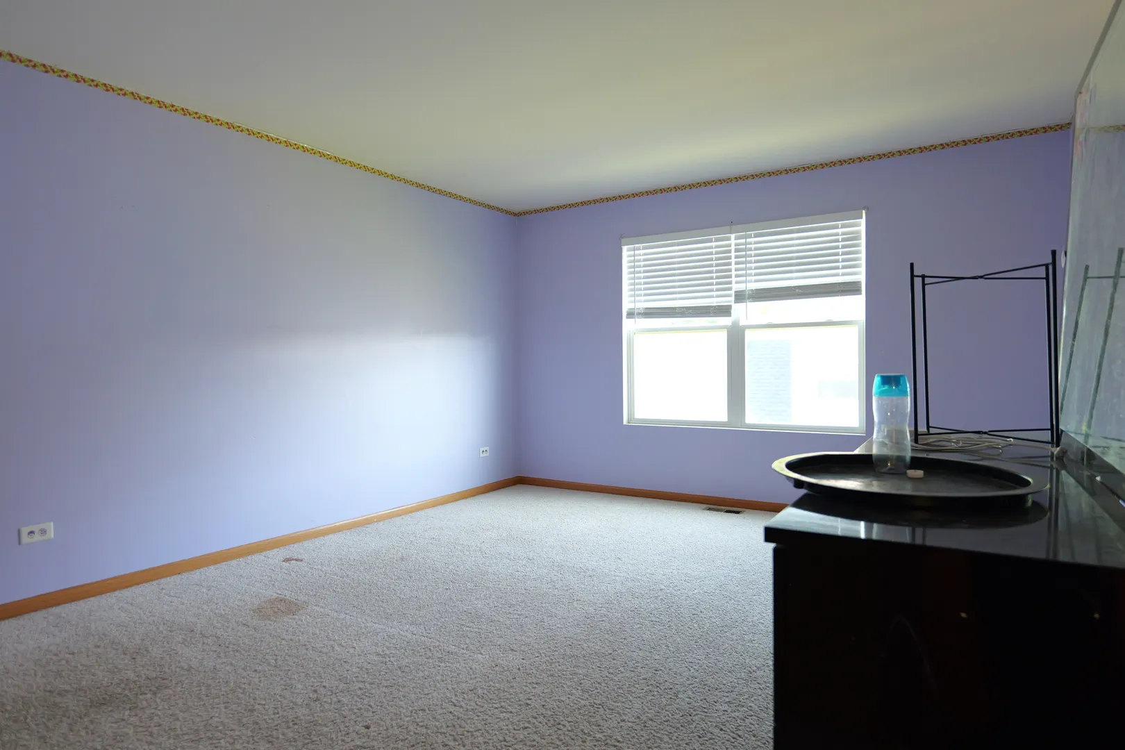 1306 FITZER Drive IL