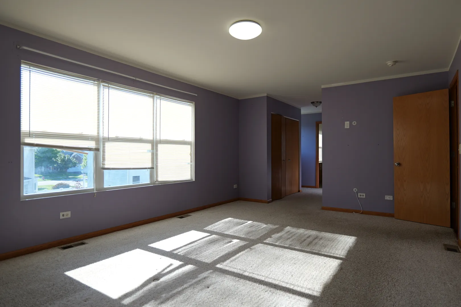 1306 FITZER Drive IL
