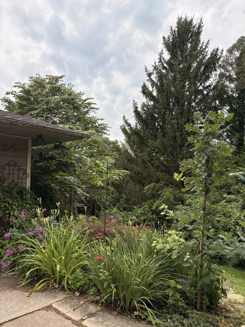 250 S 14th Street IA