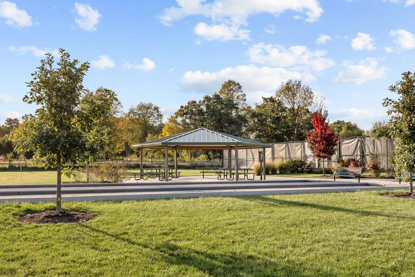 938 Blue Aster Parkway IL