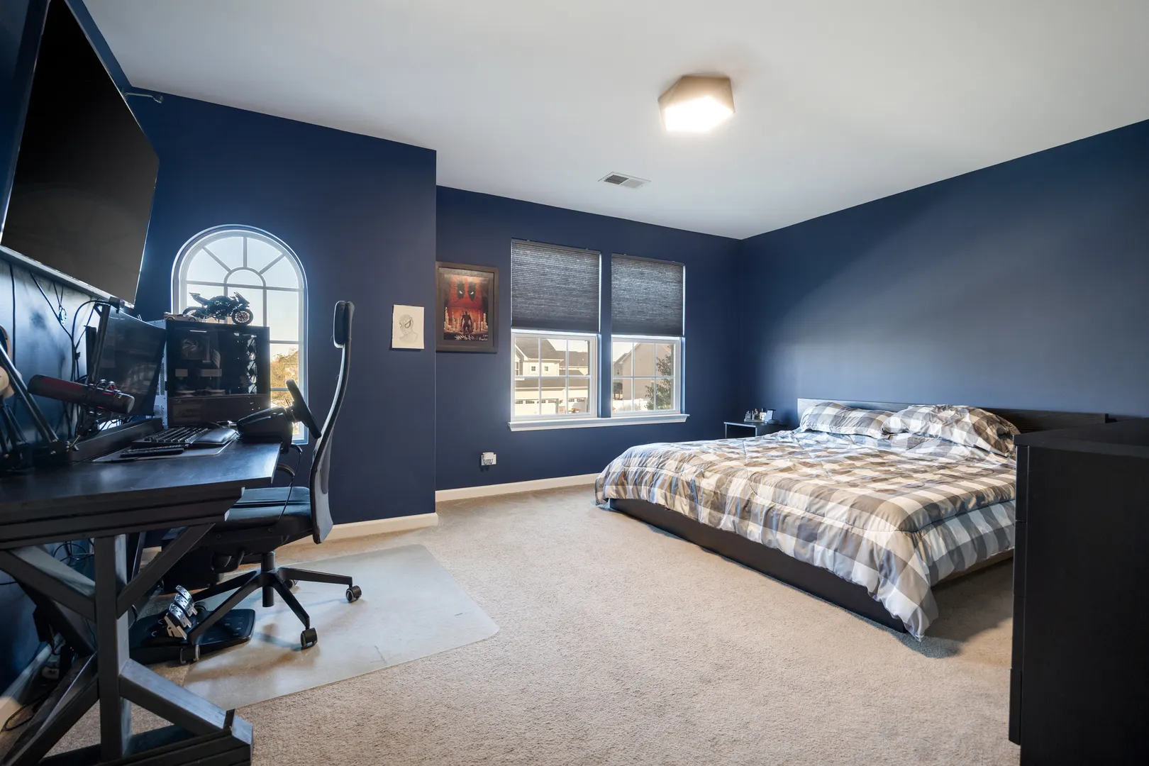 938 Blue Aster Parkway IL