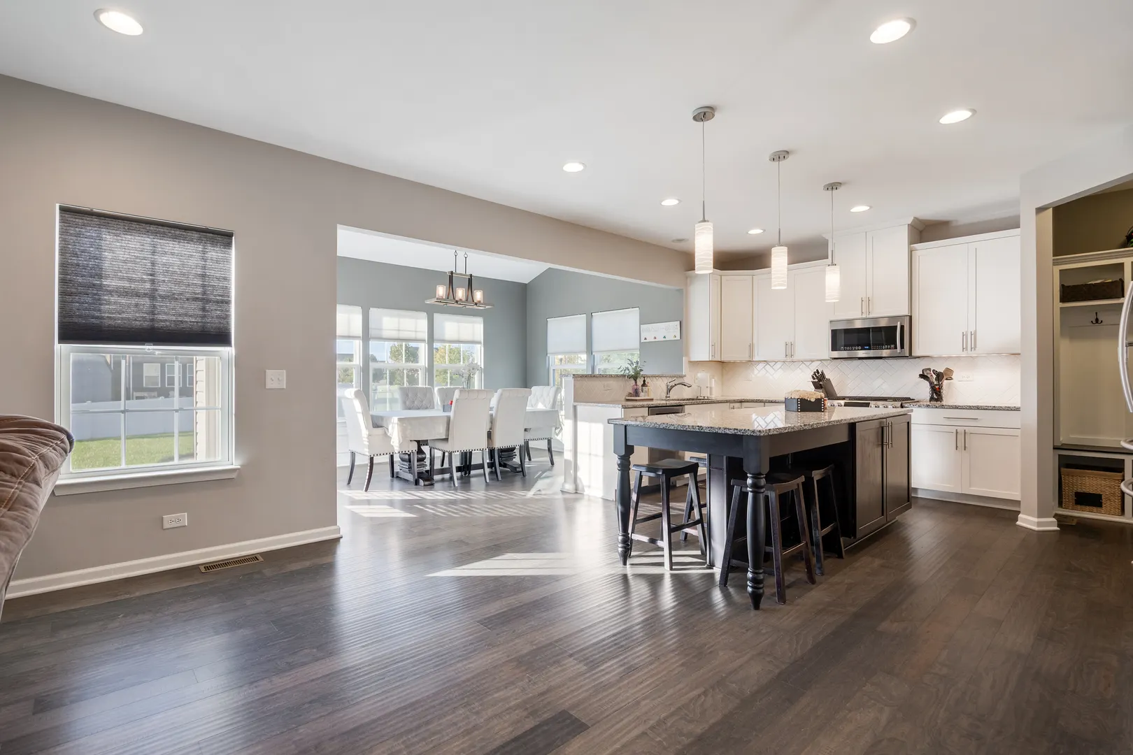938 Blue Aster Parkway IL