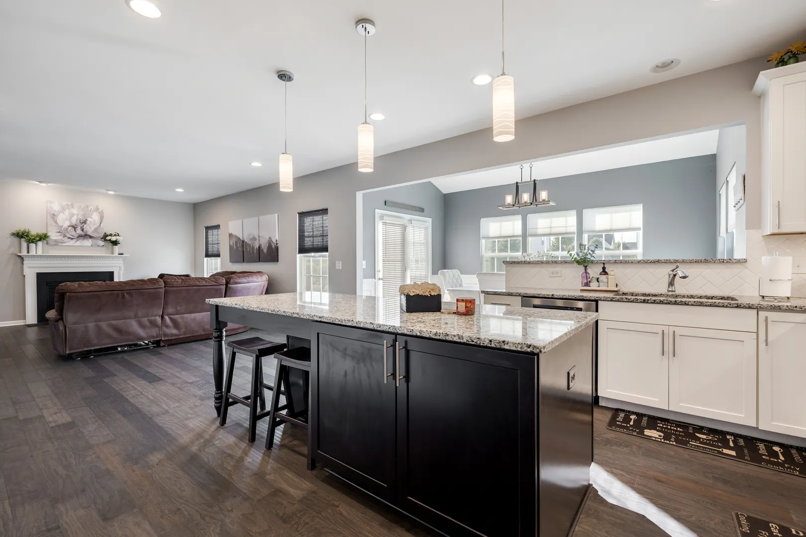 938 Blue Aster Parkway IL