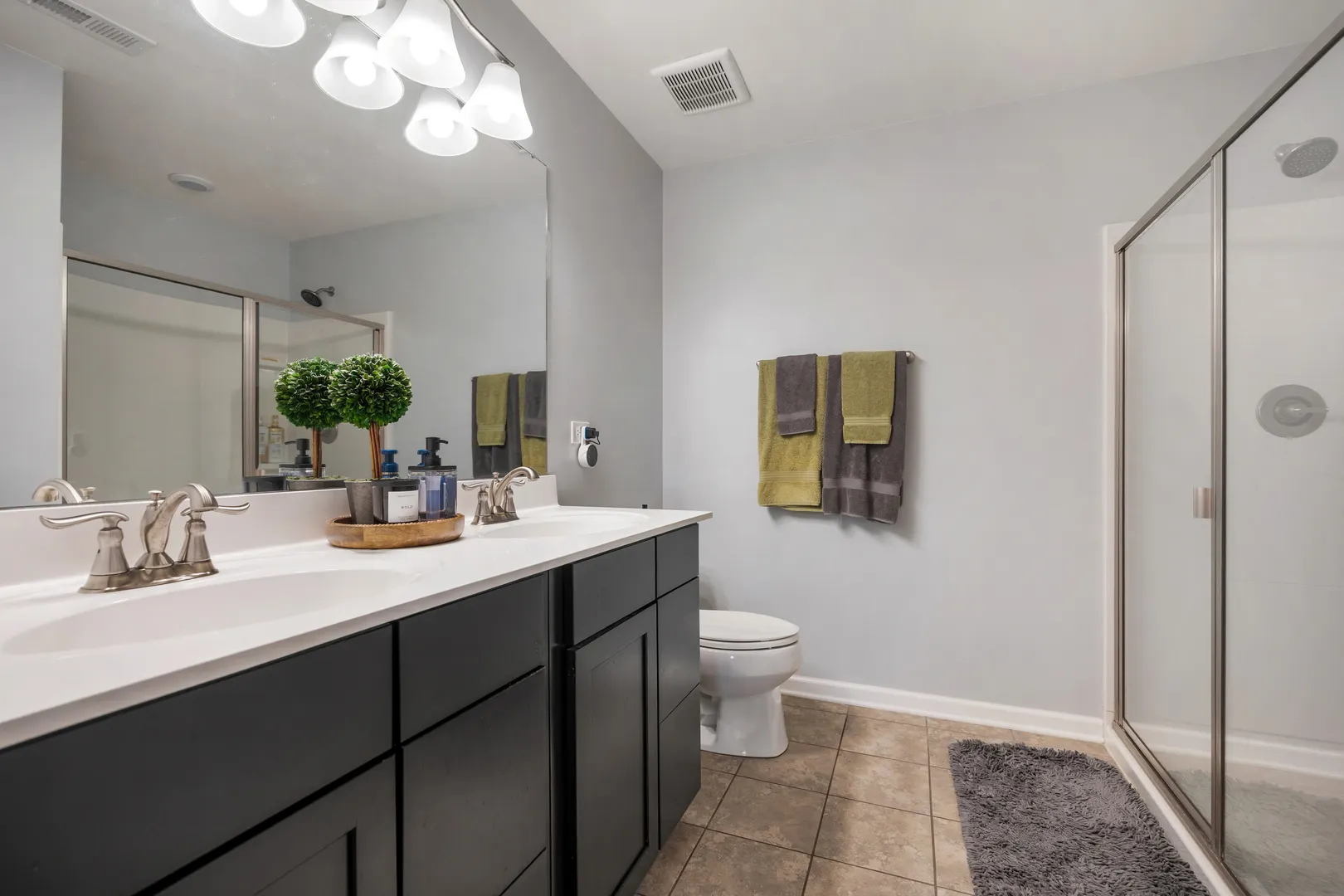 938 Blue Aster Parkway IL