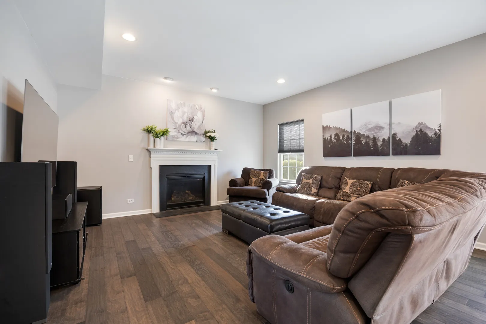 938 Blue Aster Parkway IL
