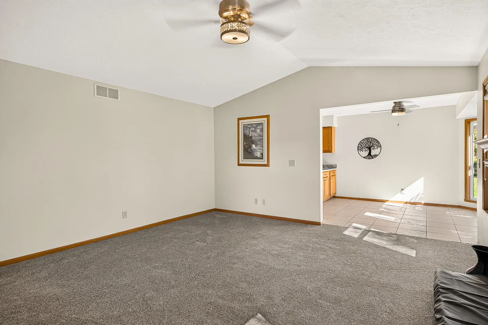 136 Harvest Glenn Drive IL