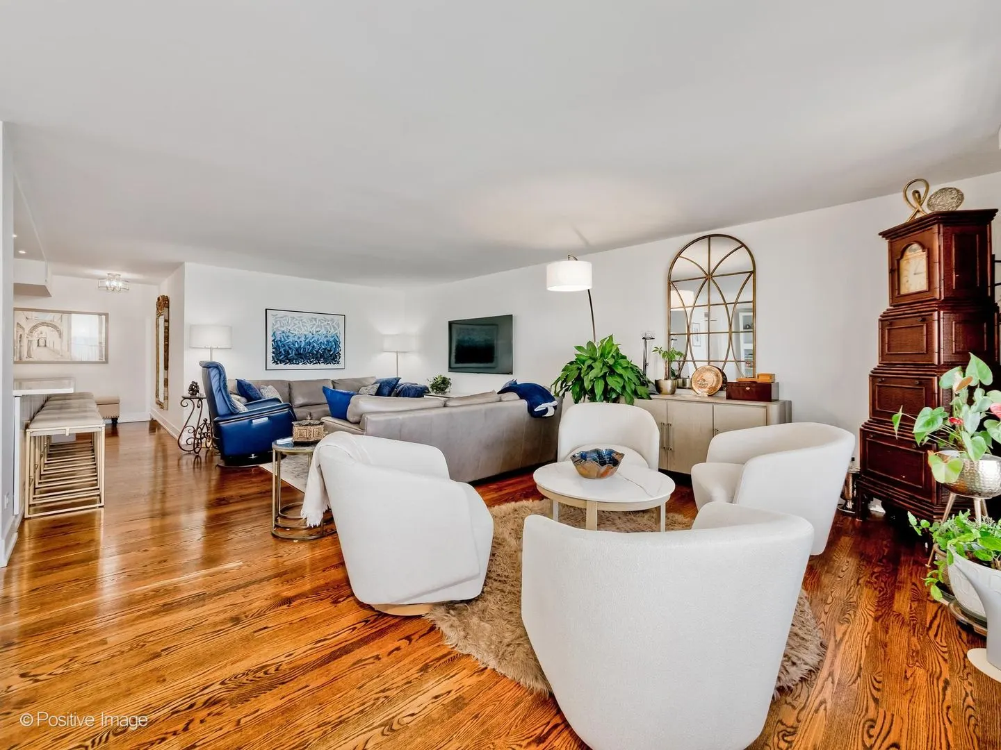 1212 N Lake Shore Drive IL #16C5