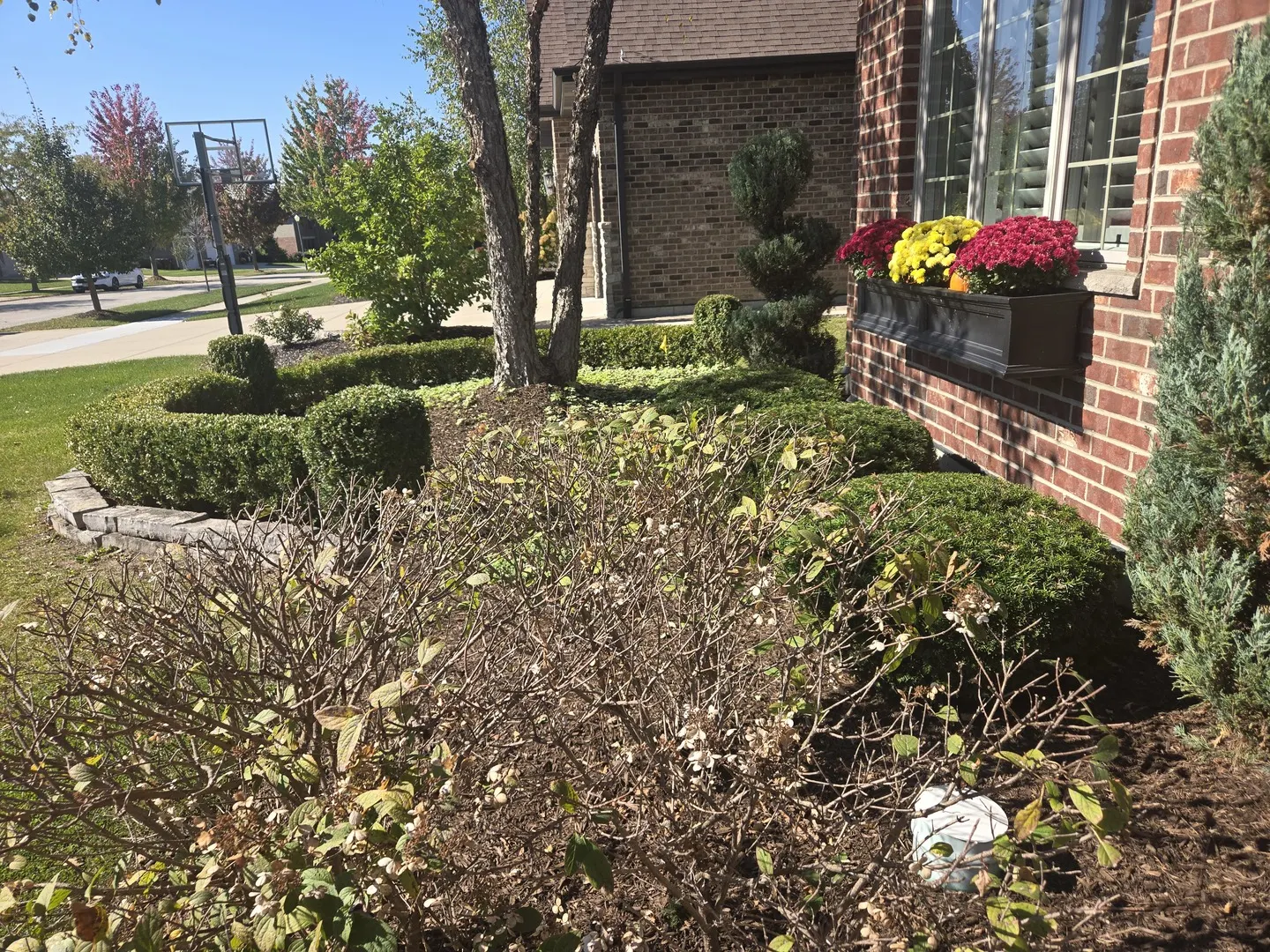 12348 TAHOE Lane IL