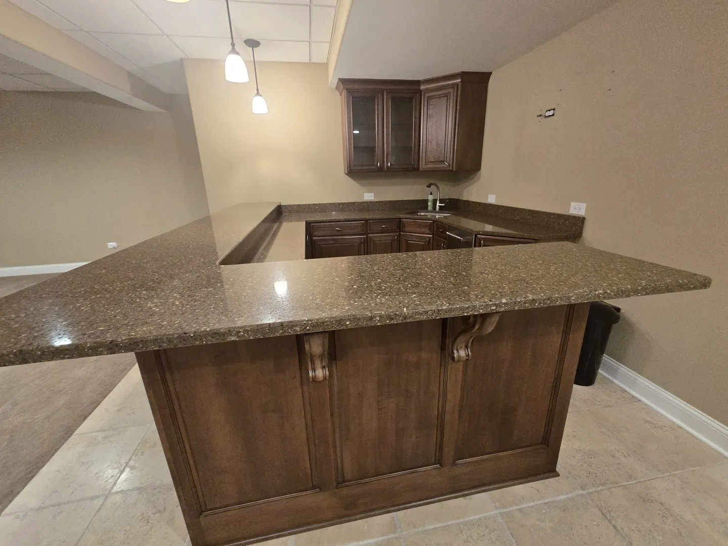 12348 TAHOE Lane IL