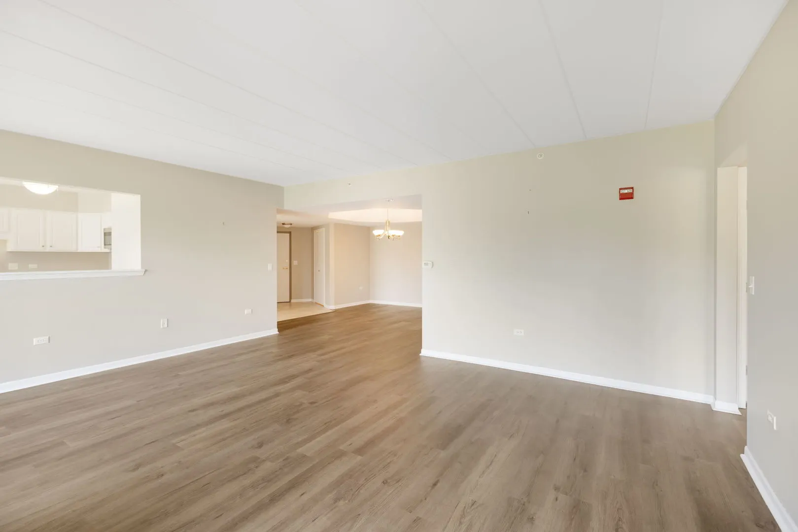 8505 Woodward Avenue IL #202