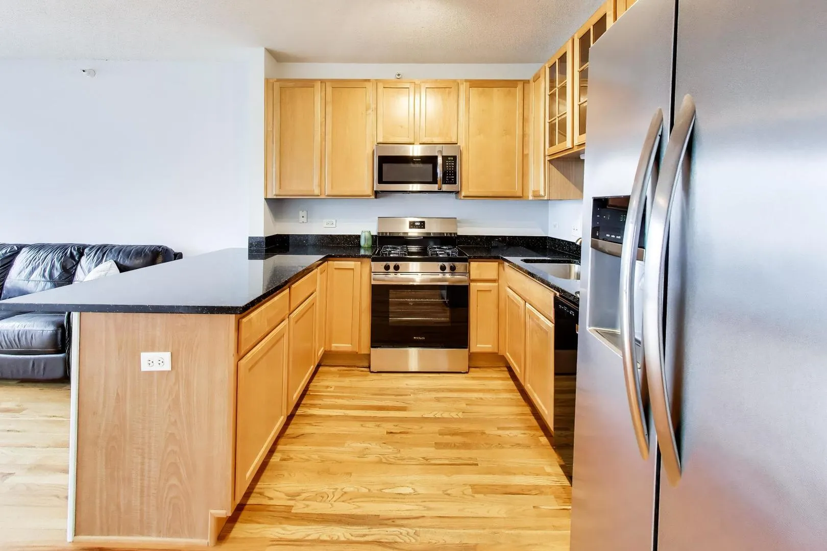 1717 S Prairie Avenue IL #1907