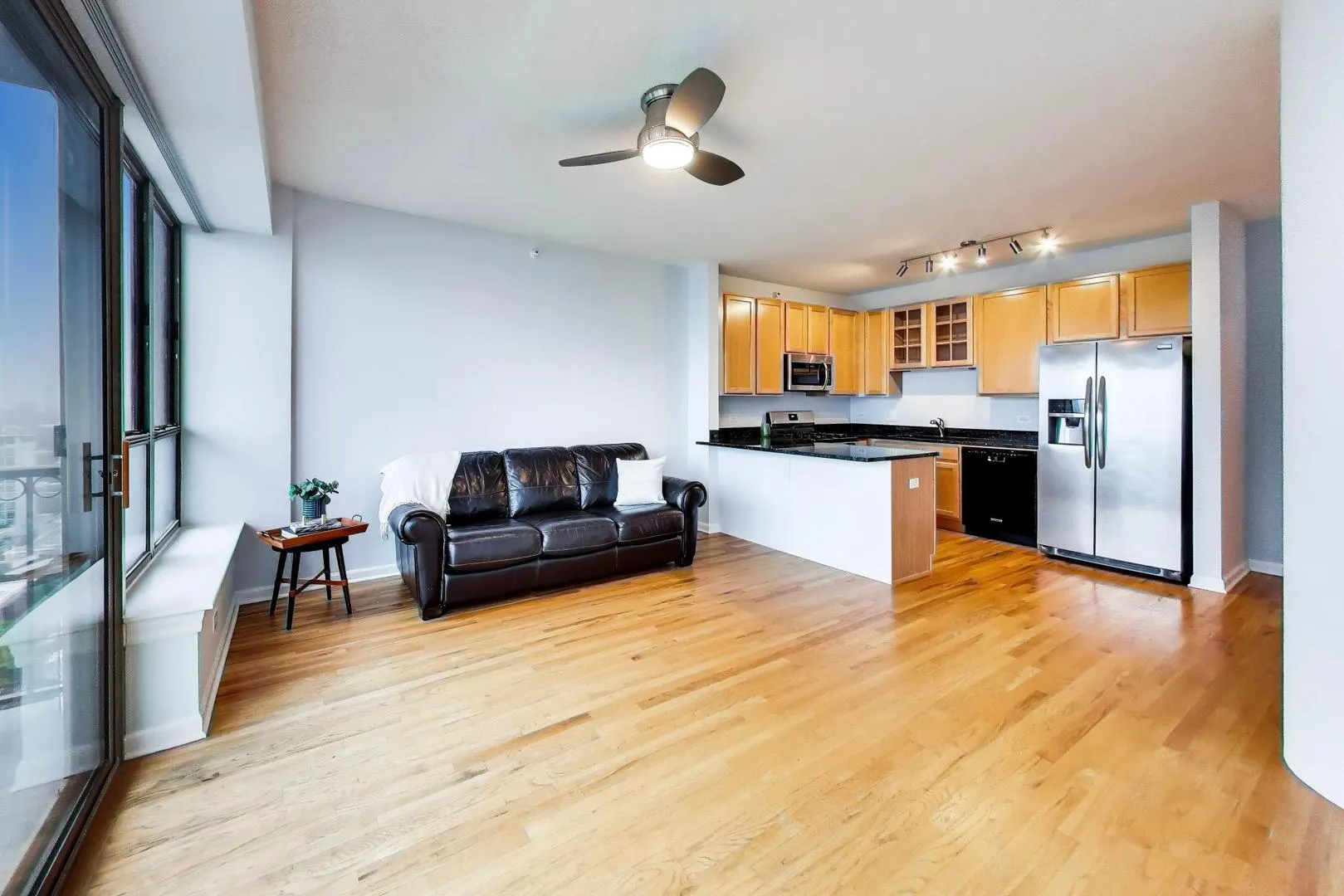 1717 S Prairie Avenue IL #1907