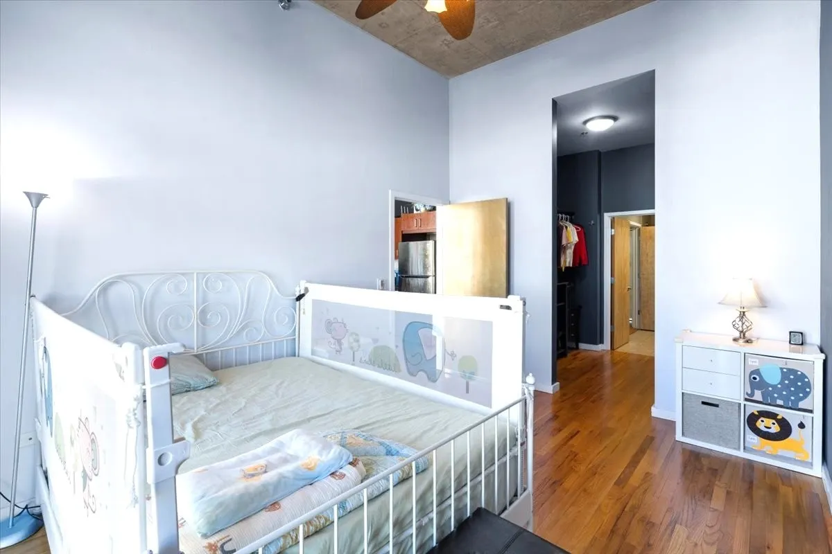 1620 S Michigan Avenue IL #1217