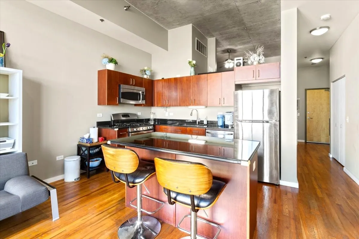 1620 S Michigan Avenue IL #1217
