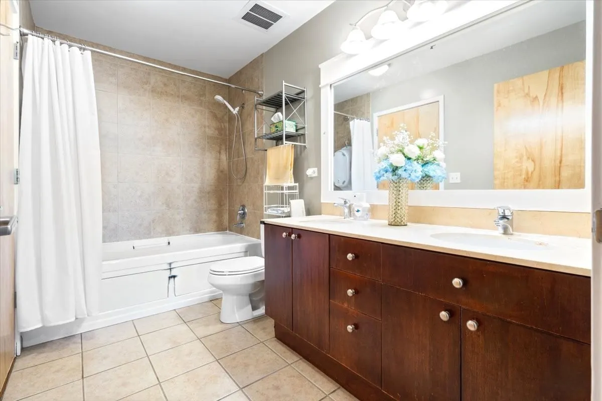 1620 S Michigan Avenue IL #1217