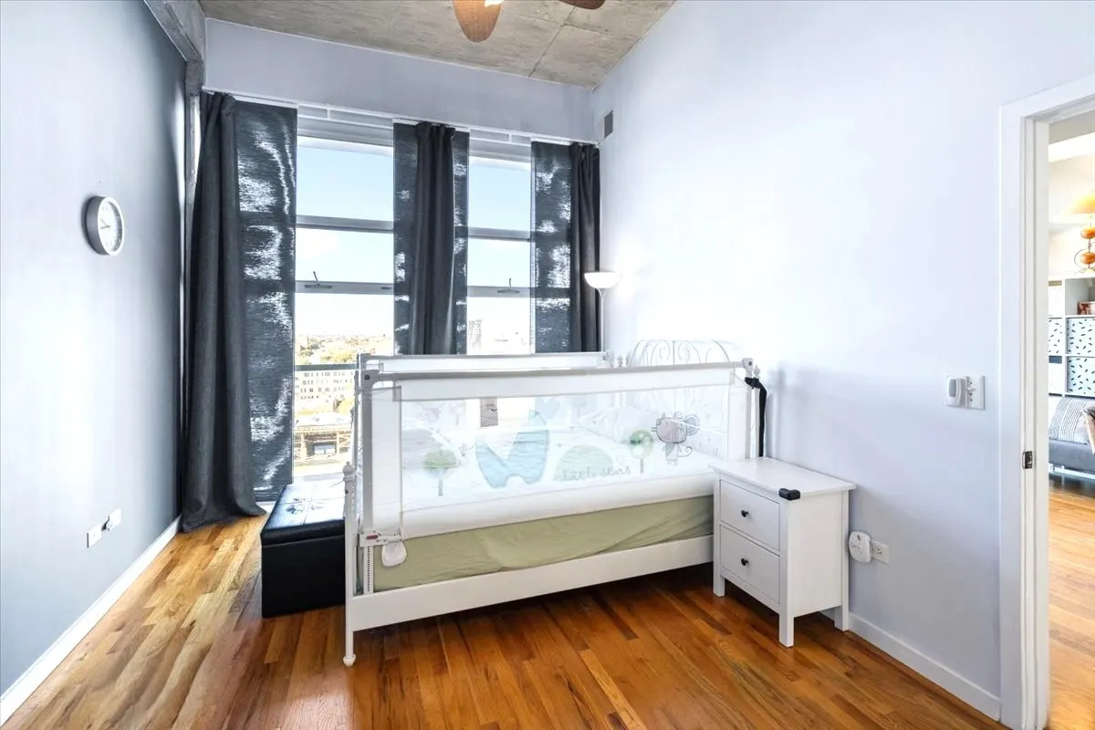 1620 S Michigan Avenue IL #1217