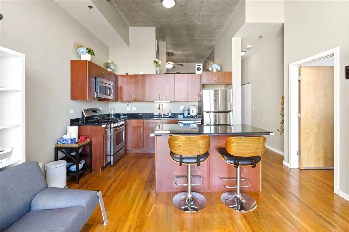 1620 S Michigan Avenue IL #1217