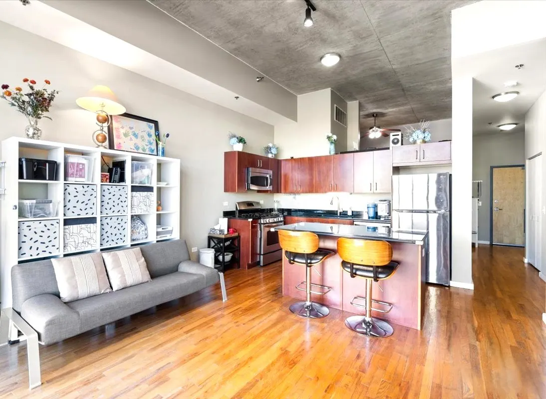 1620 S Michigan Avenue IL #1217