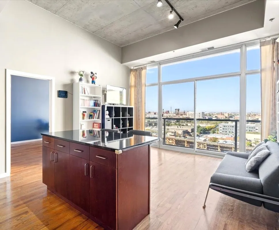 1620 S Michigan Avenue IL #1217