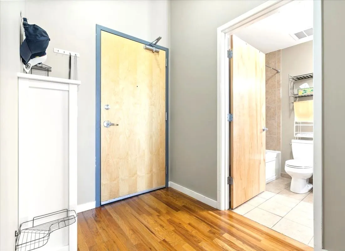 1620 S Michigan Avenue IL #1217