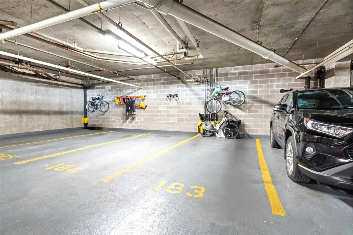 1620 S Michigan Avenue IL #1217