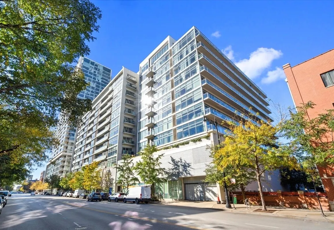 1620 S Michigan Avenue IL #1217