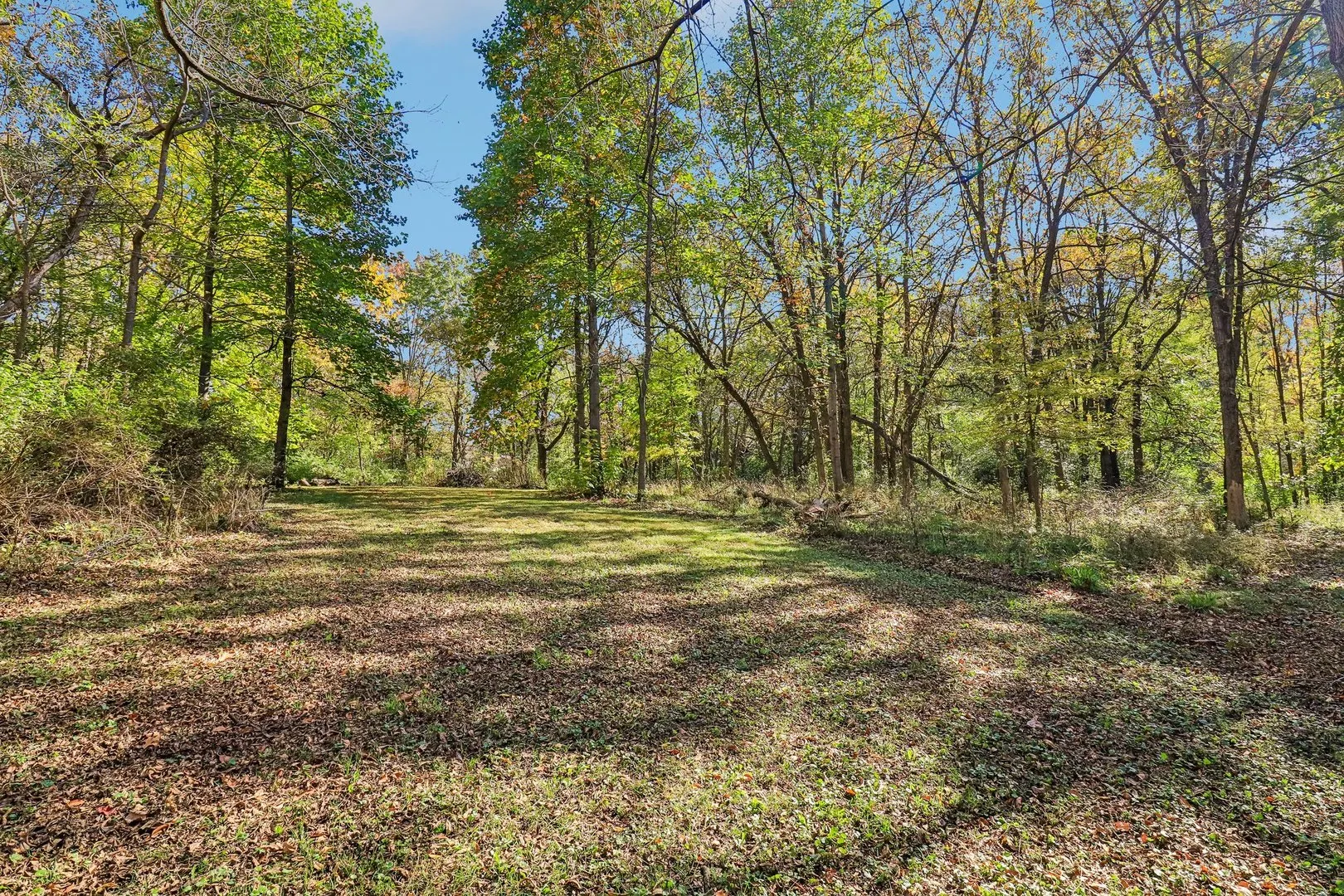 9516 N Clark Road IL