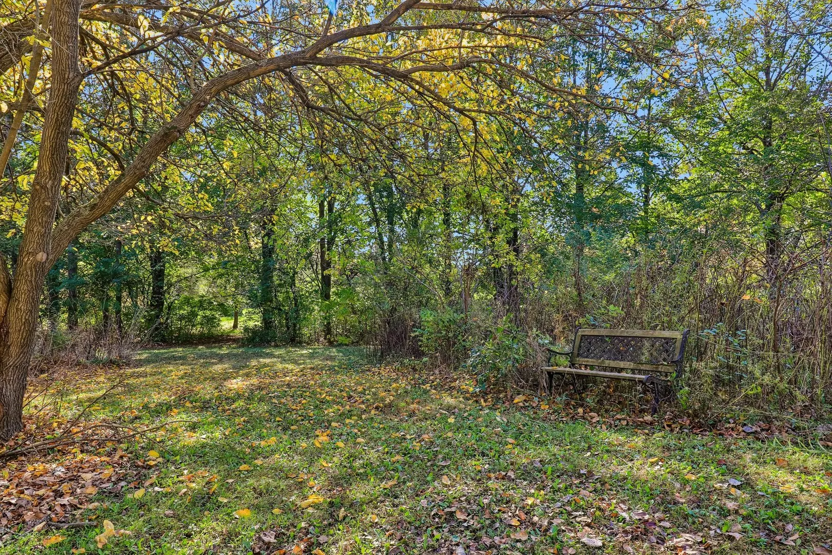9516 N Clark Road IL