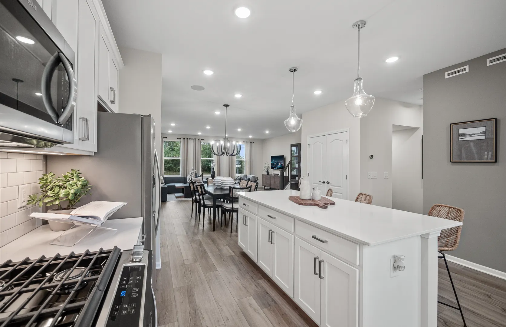 210 Steeple Bush Lane IL #9238