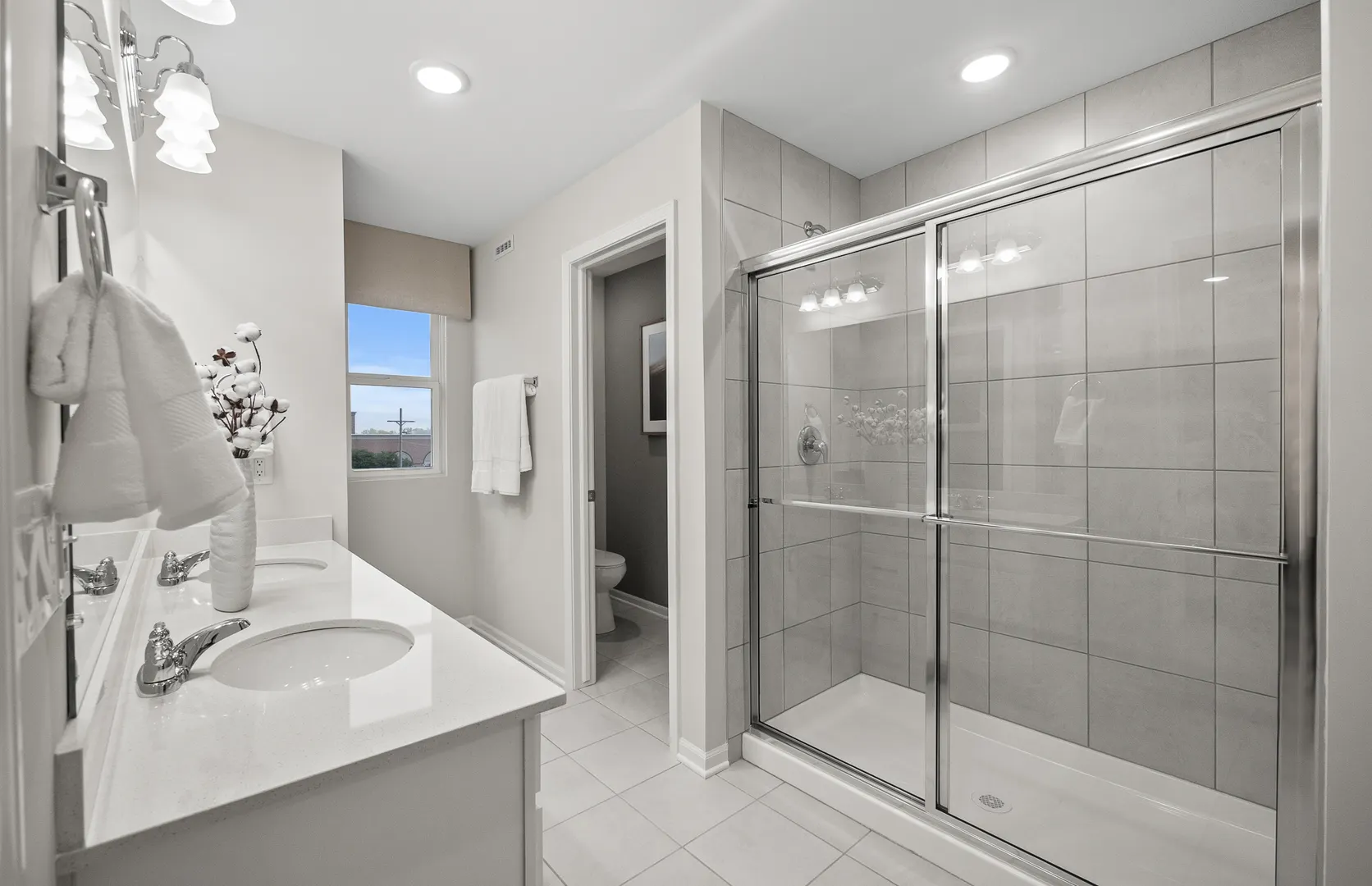 210 Steeple Bush Lane IL #9238