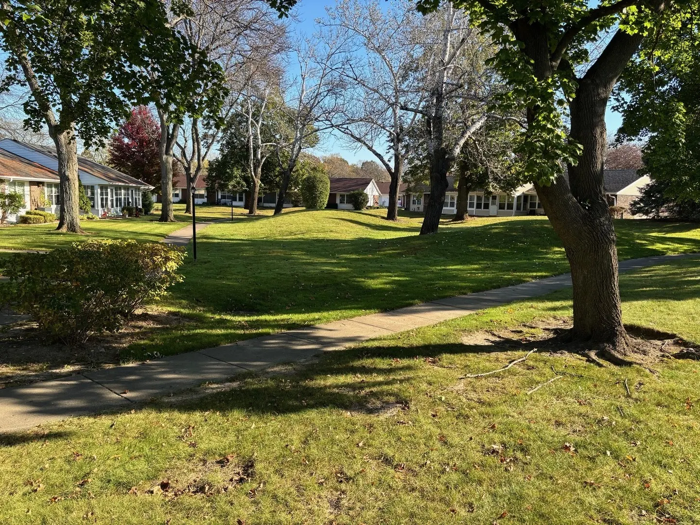 7306 Dunwood Court IL #7306