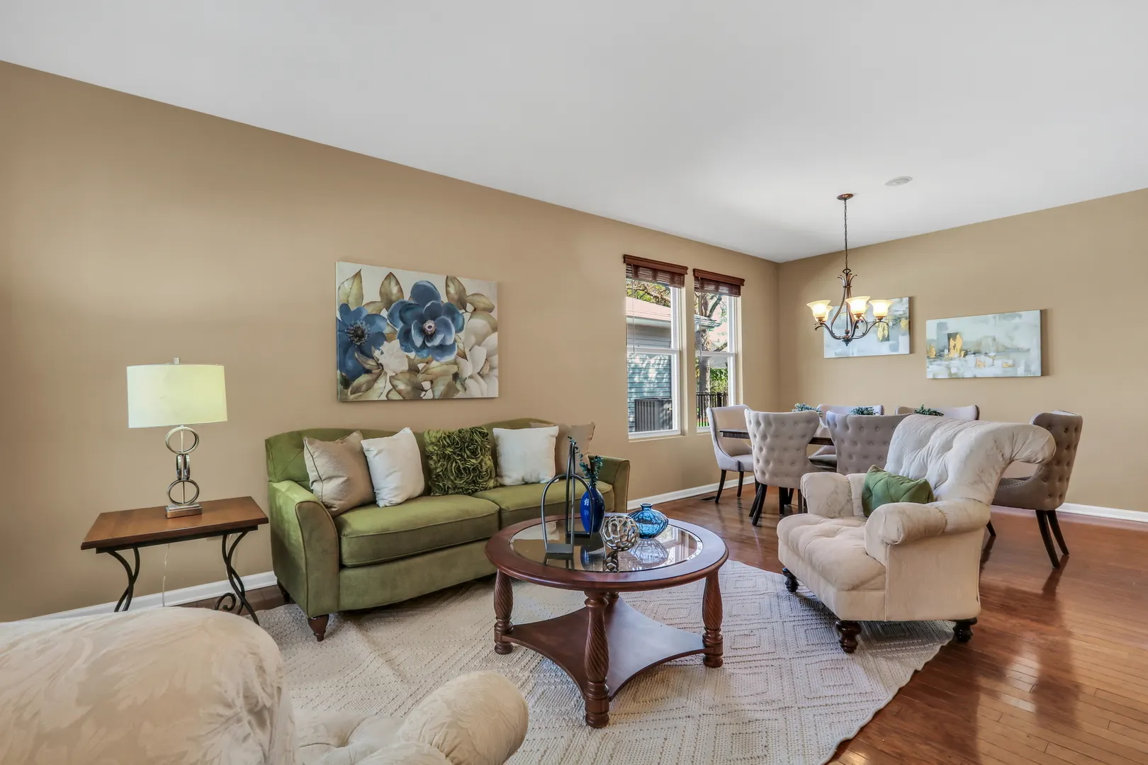 13017 Summerview Drive IL