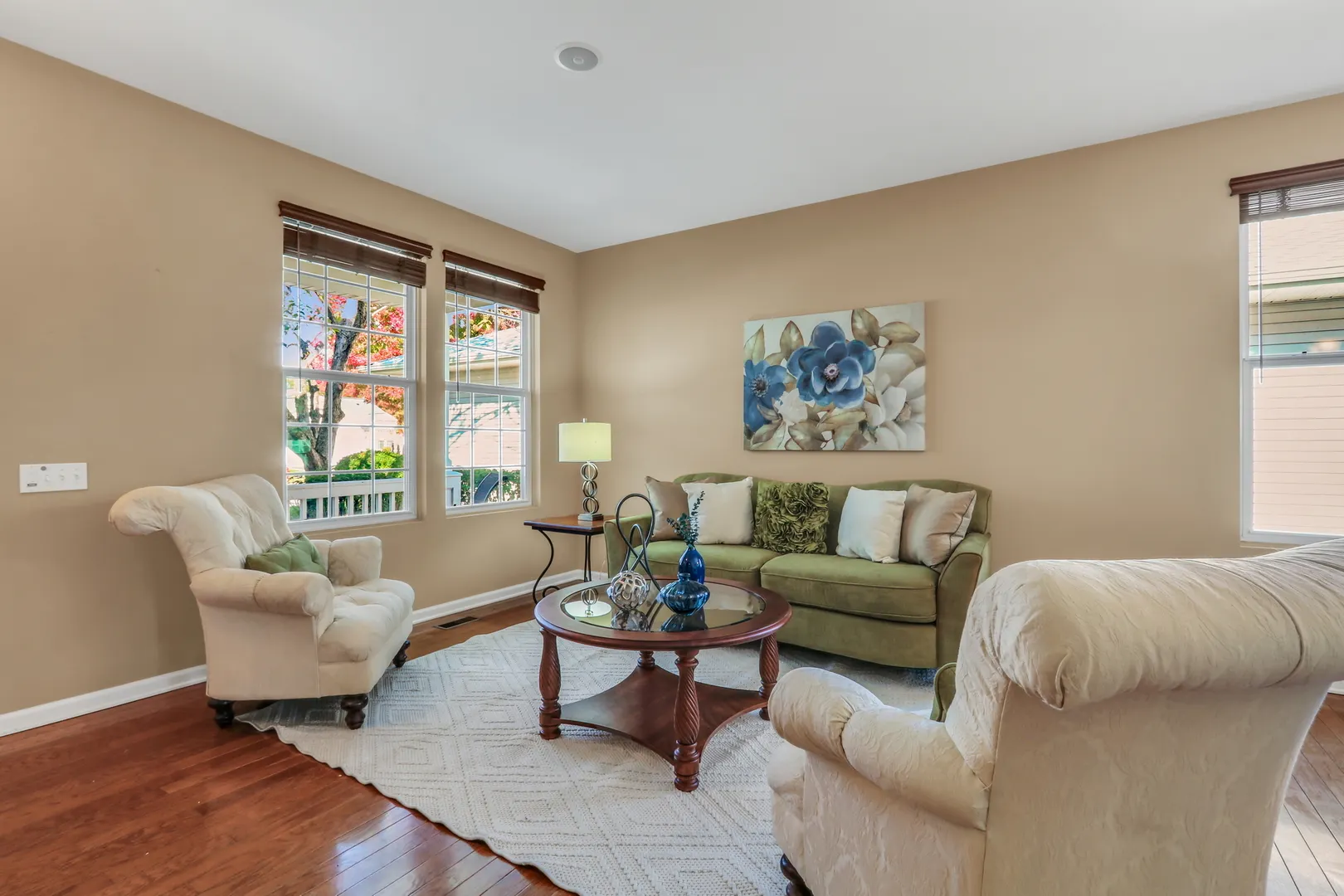 13017 Summerview Drive IL