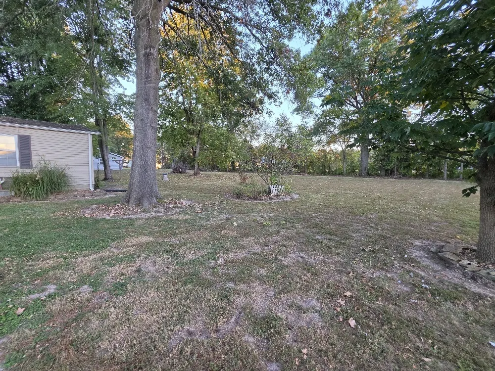 119 W Galaxy Drive IL