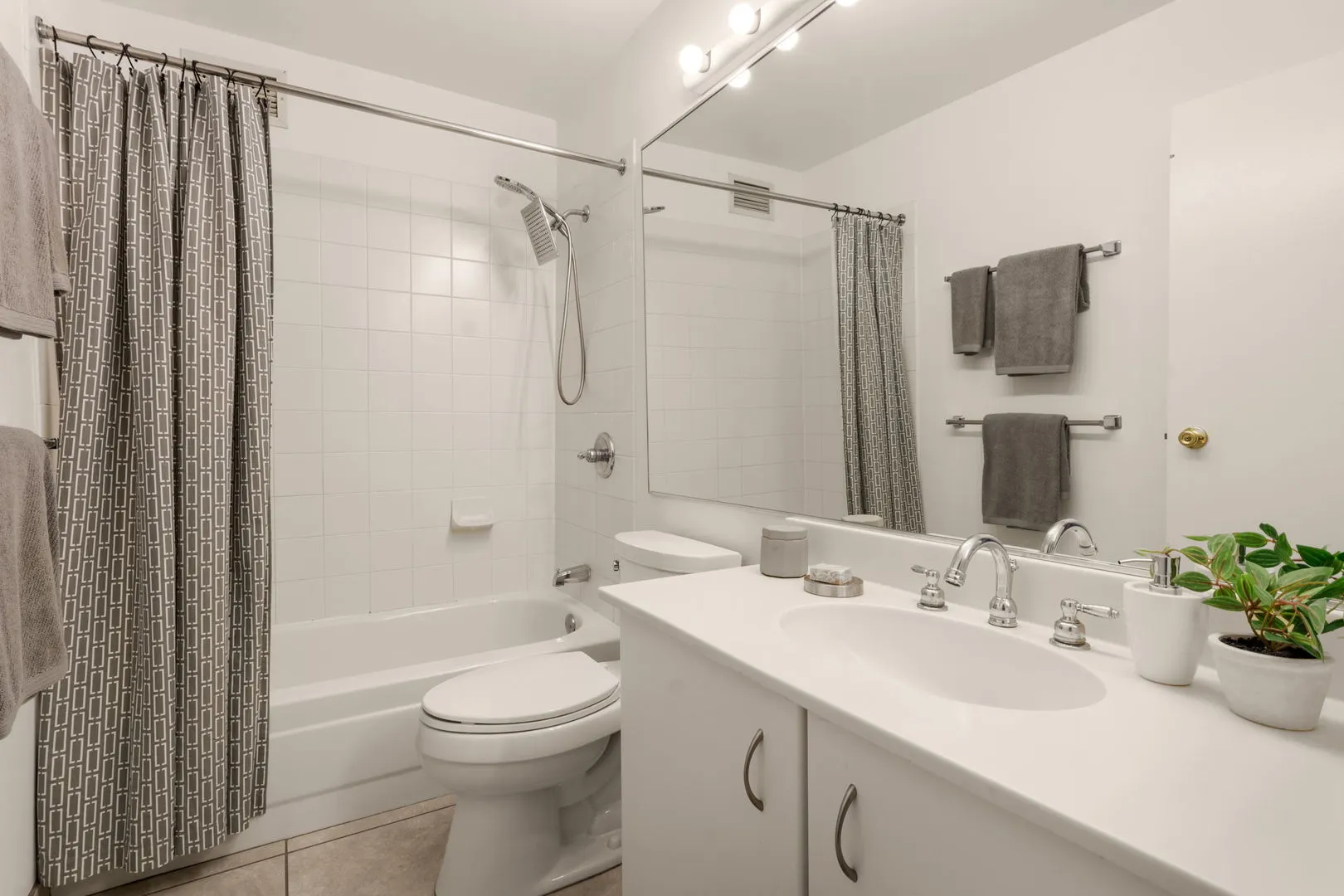 401 E Ontario Street IL #1409