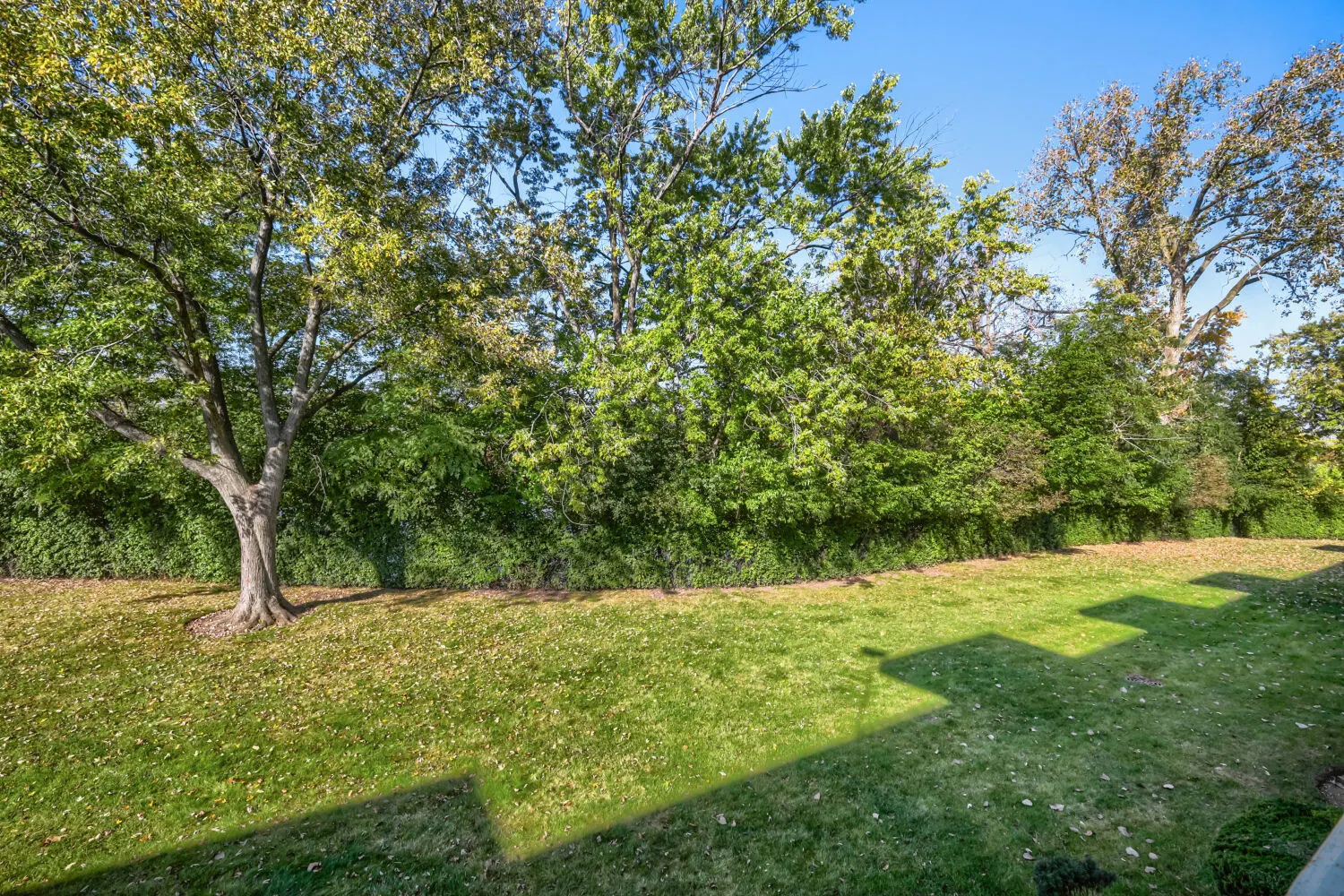 200 Deborah Lane IL #6B