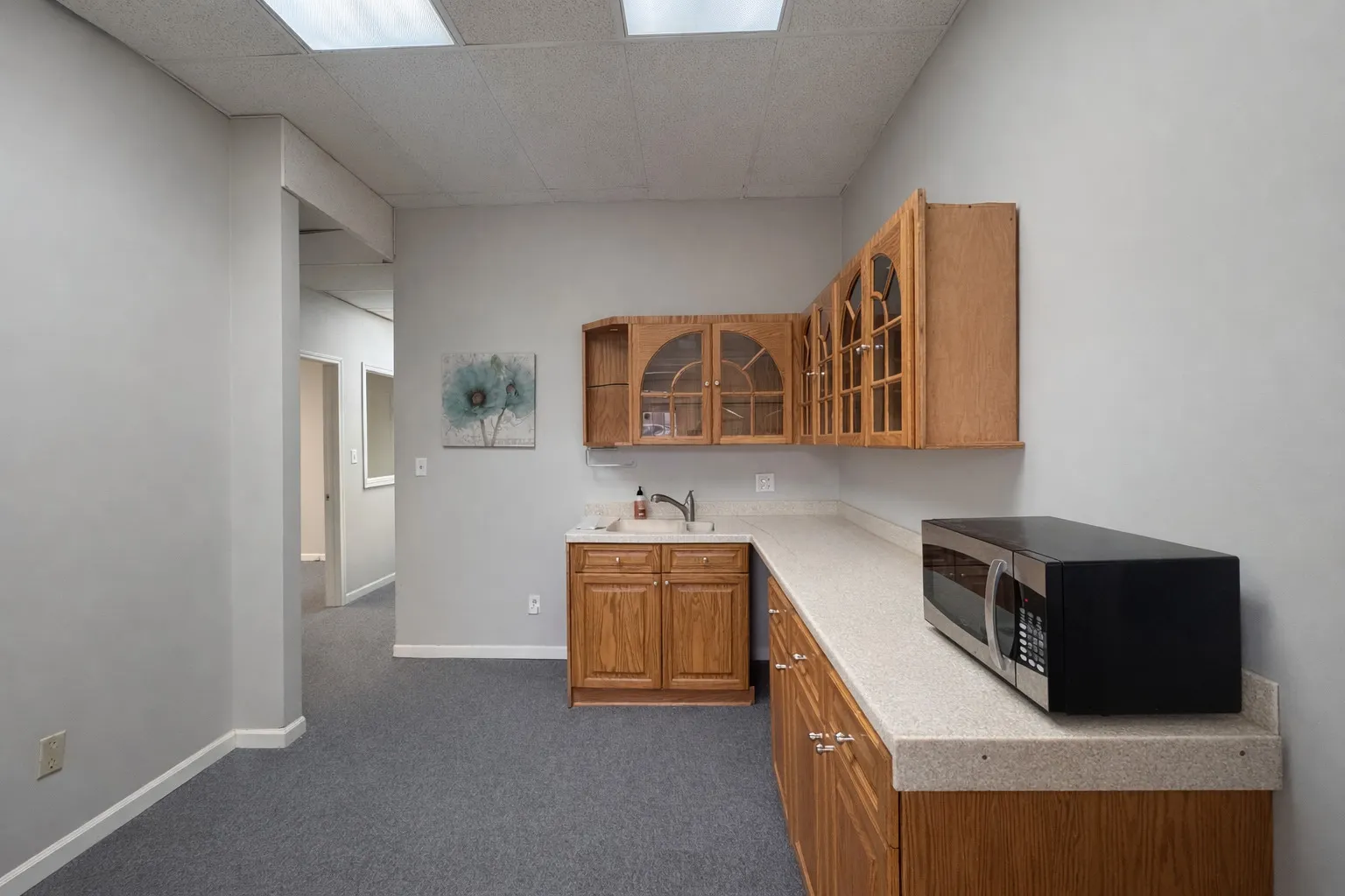 117 E 9th Street IL