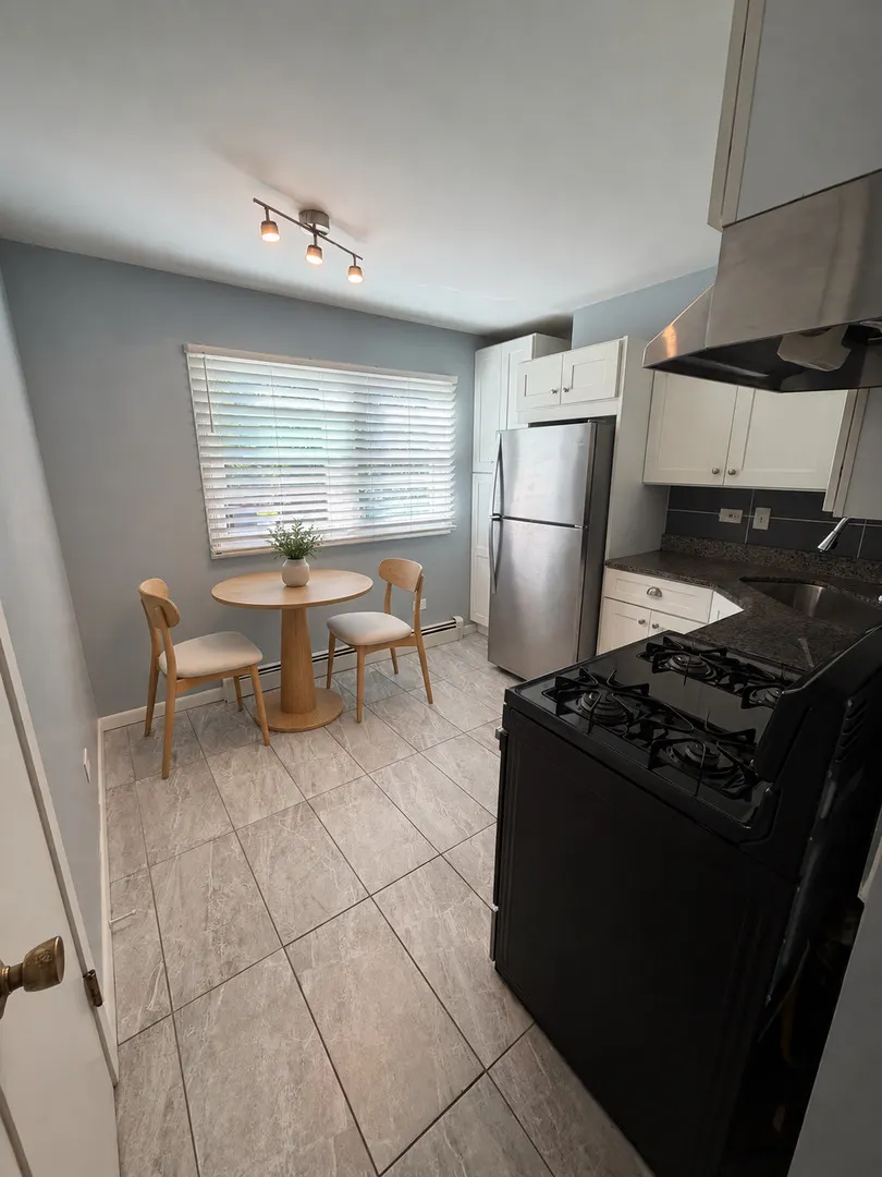 119 Cliff Street IL #1W