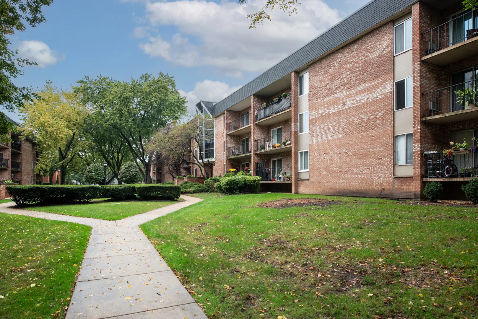1041 N Mill Street IL #110