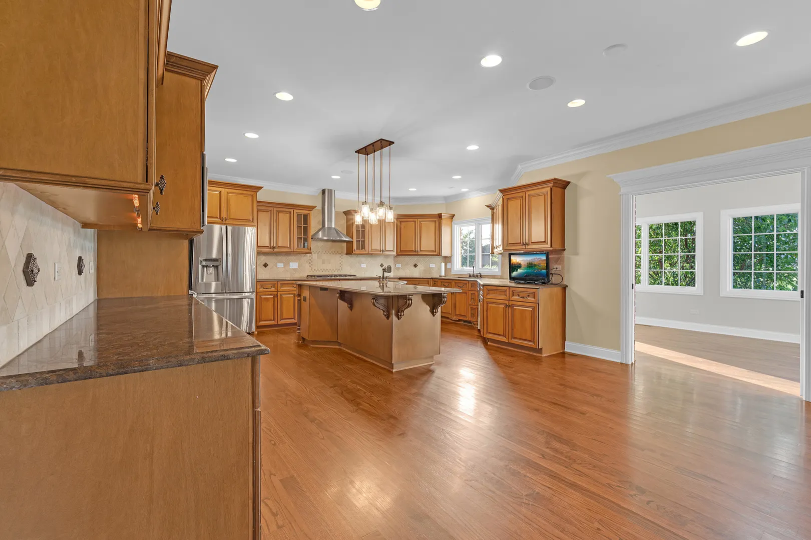12408 Lajunta Court IL