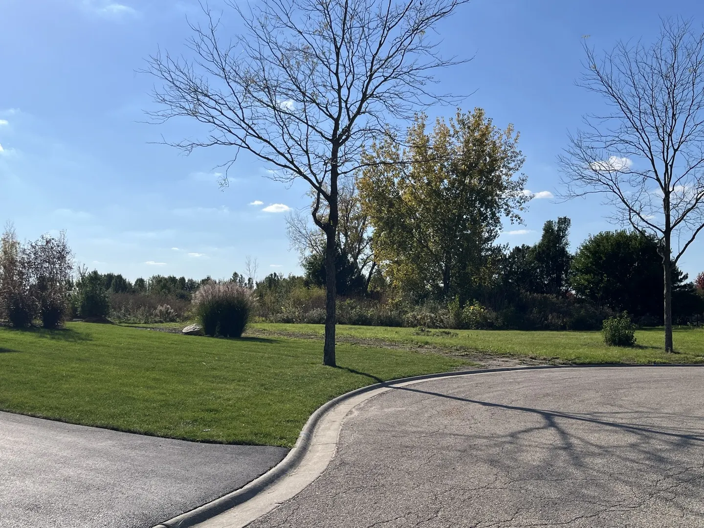 11 Wintergreen Court IL