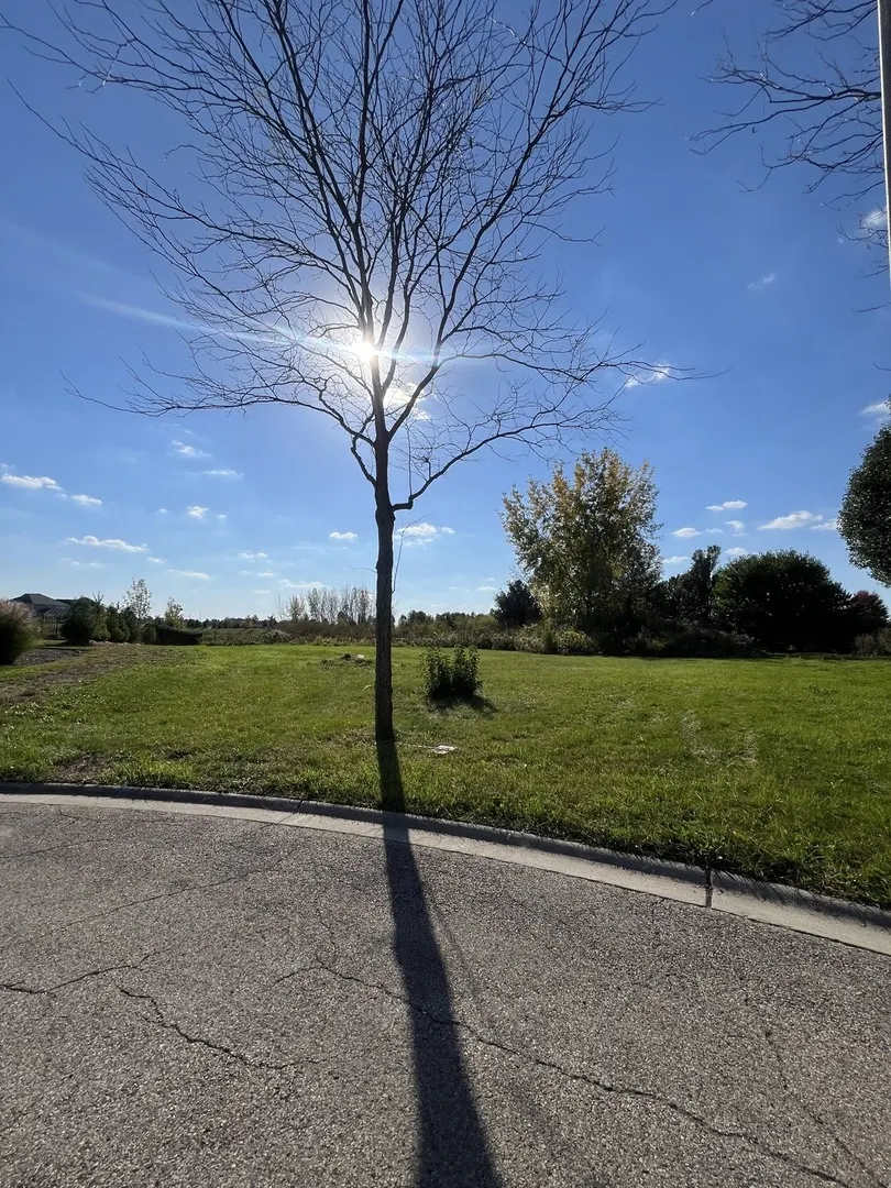 11 Wintergreen Court IL