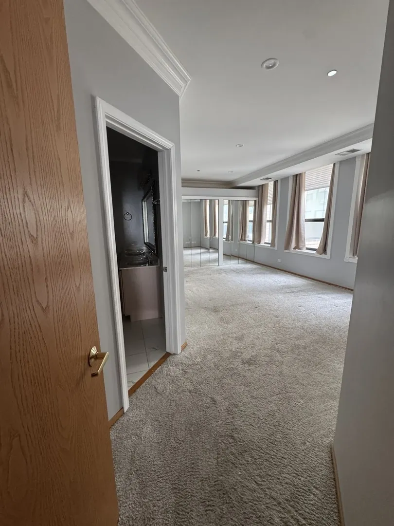910 S Michigan Avenue IL #1615