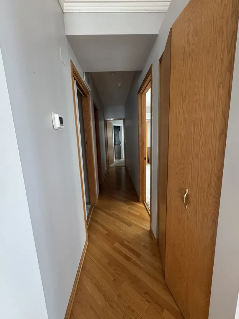 910 S Michigan Avenue IL #1615