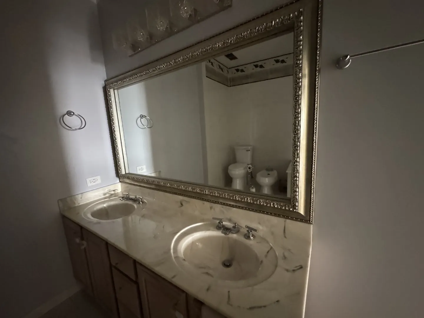 910 S Michigan Avenue IL #1615